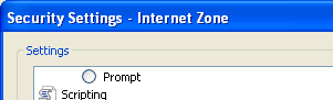 The Security Settings dialog box with the Active Scripting Enabled Internet Explorer 8