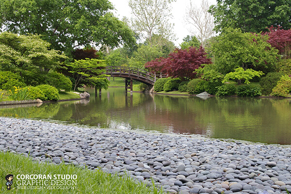 Missouri Botanical Garden Drum Bridge Landscape Photo