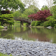 Missouri Botanical Garden Drum Bridge Photo