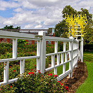 Missouri Botanical Rose Garden Fence Gate Photo