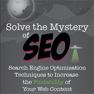 Search Engine (SEO) Infographic